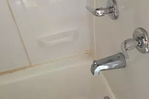 2503 Agate St, Harrisburg, PA 17110 - Photo 14