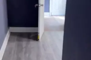 331 Hummel St, Harrisburg, PA 17104 - Photo 10