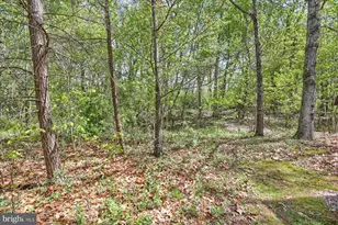 69 S Elmer Ave, Halifax, PA 17032 - Photo 34