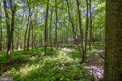 0 Rutter Road, Halifax, PA 17032 - Photo 18
