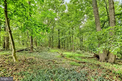 5652 Union Deposit Road, Harrisburg, PA 17111 - Photo 38