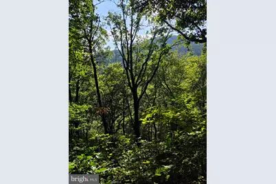 Pa-225, Elizabethville, PA 17023 - Photo 44