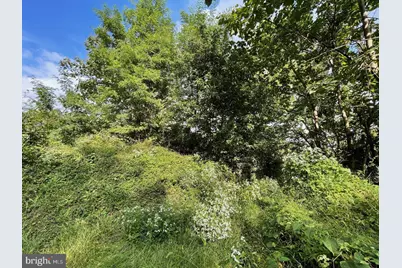 403 Sycamore Avenue, Clifton Heights, PA 19018 - Photo 4