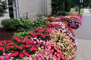 1030 E Lancaster Ave, Bryn Mawr, PA 19010 - Photo 2