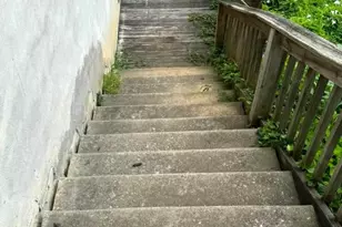 610 S Cedar Ln, Upper Darby, PA 19082 - Photo 4