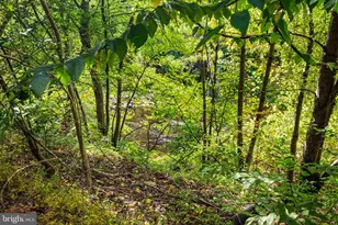 102 Dundee Mills Ln, Wallingford, PA 19086 - Photo 40