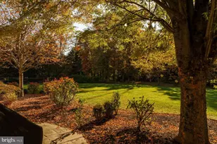 423 Boxwood Rd, Bryn Mawr, PA 19010 - Photo 34