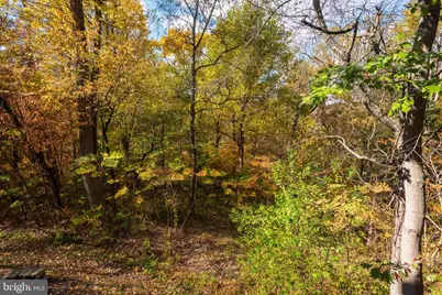 110 Dauphin Drive, Media, PA 19063 - Photo 48