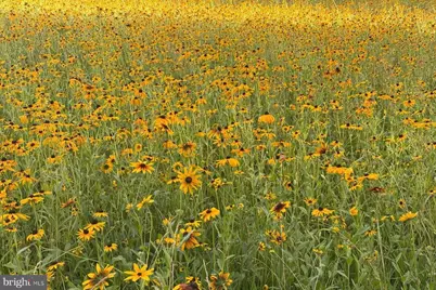 1554 Meadow Lane, Glen Mills, PA 19342 - Photo 64