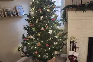 921 Addingham Ave, Drexel Hill, PA 19026 - Photo 10