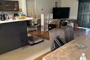 719 Beech Ave, Glenolden, PA 19036 - Photo 8