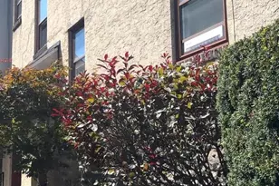 2313 Haverford Rd, Ardmore, PA 19003 - Photo 2