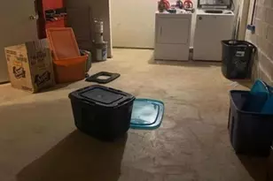 338B Saybrook Ln, Wallingford, PA 19086 - Photo 22