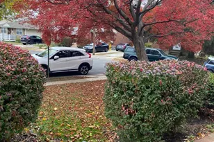 172 Bridge St, Drexel Hill, PA 19026 - Photo 42