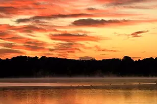 2236 E Deerfield Dr, Media, PA 19063 - Photo 80