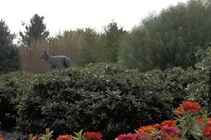 4106 Poplar St, Garnet Valley, PA 19060 - Photo 52