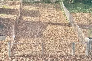 620 S Garfield Ave, Glenolden, PA 19036 - Photo 34