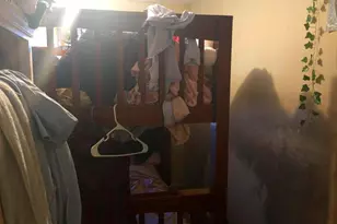 7160 Clover Ln, Upper Darby, PA 19082 - Photo 12