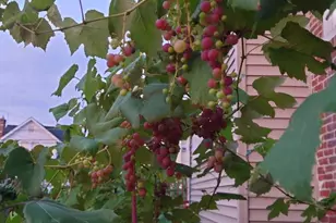 102 Rambler Rd, Glenolden, PA 19036 - Photo 32