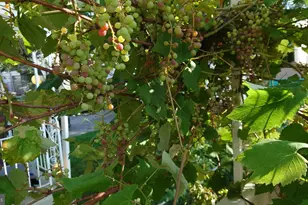 102 Rambler Rd, Glenolden, PA 19036 - Photo 30