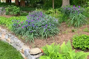 173 Hillview Dr, Springfield, PA 19064 - Photo 44