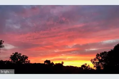 711 W Brookhaven Road, Wallingford, PA 19086 - Photo 4