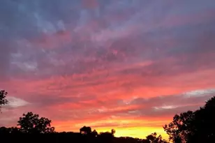 711 W Brookhaven Rd, Wallingford, PA 19086 - Photo 4