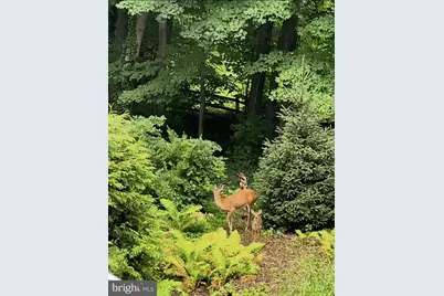 339 Plush Mill Road, Wallingford, PA 19086 - Photo 30