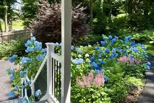 339 Plush Mill Rd, Wallingford, PA 19086 - Photo 24