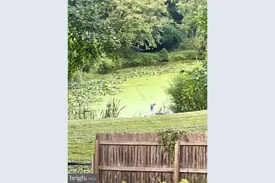 339 Plush Mill Road, Wallingford, PA 19086 - Photo 34