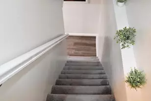 8102 Arlington Ave, Upper Darby, PA 19082 - Photo 28