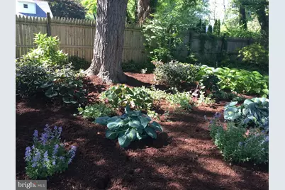 303 Barry Lane, Wallingford, PA 19086 - Photo 12