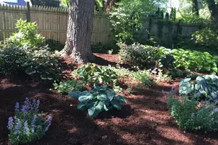 303 Barry Ln, Wallingford, PA 19086 - Photo 12