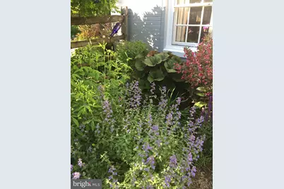 303 Barry Lane, Wallingford, PA 19086 - Photo 10