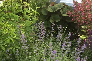 303 Barry Ln, Wallingford, PA 19086 - Photo 10