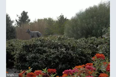 3441 Hance Lane, Garnet Valley, PA 19060 - Photo 54