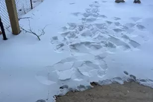 916 Fulton St, Chester, PA 19013 - Photo 12