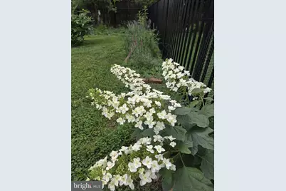 905 Heathdale Lane, Media, PA 19063 - Photo 88