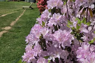 905 Heathdale Ln, Media, PA 19063 - Photo 86