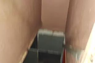 919 Sharon Ave, Sharon Hill, PA 19079 - Photo 10