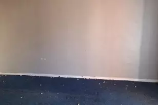 919 Sharon Ave, Sharon Hill, PA 19079 - Photo 8