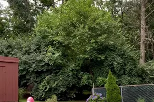 307 Thornton Rd, Thornton, PA 19373 - Photo 4