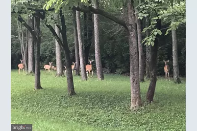 1304 Valley Road, Glen Mills, PA 19342 - Photo 50