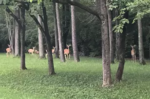 1304 Valley Rd, Glen Mills, PA 19342 - Photo 50