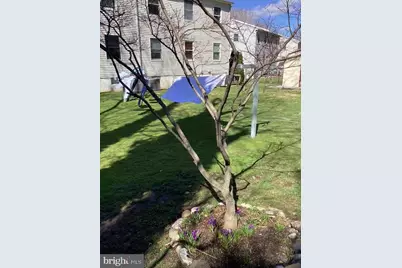 1944 Ridley Mill Lane, Woodlyn, PA 19094 - Photo 42