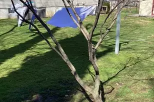 1944 Ridley Mill Ln, Woodlyn, PA 19094 - Photo 42