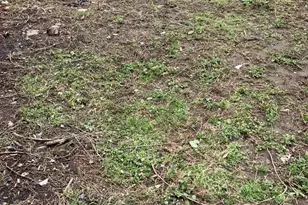 1233 Crosby St, Chester, PA 19013 - Photo 6