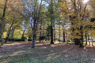 17 Jonathan Morris Cir, Media, PA 19063 - Photo 6