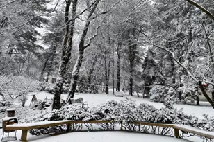 17 Jonathan Morris Cir, Media, PA 19063 - Photo 10