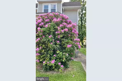 422 Arbor Road, Lansdowne, PA 19050 - Photo 2